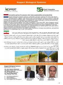 page-20